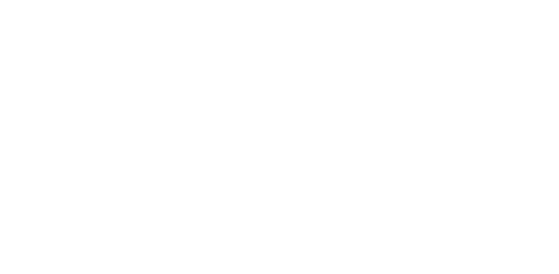 AAI-Logo-white